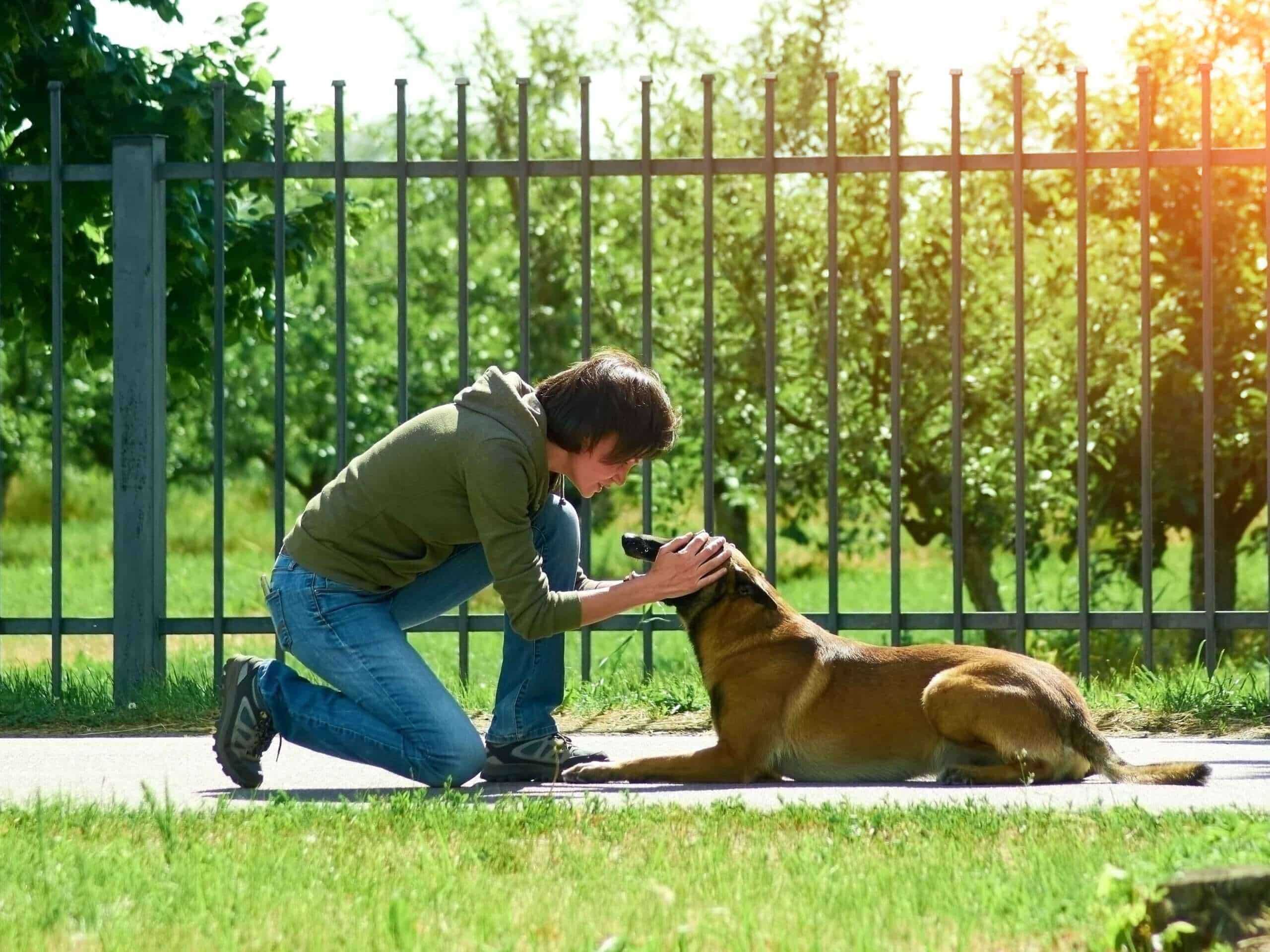Photo of a dog friendly aluminum fence in Panama City Florida
