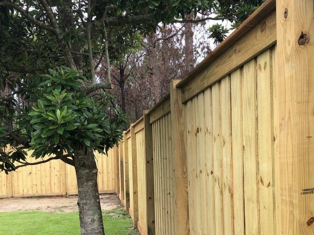 Photo of wood fencing Panama City