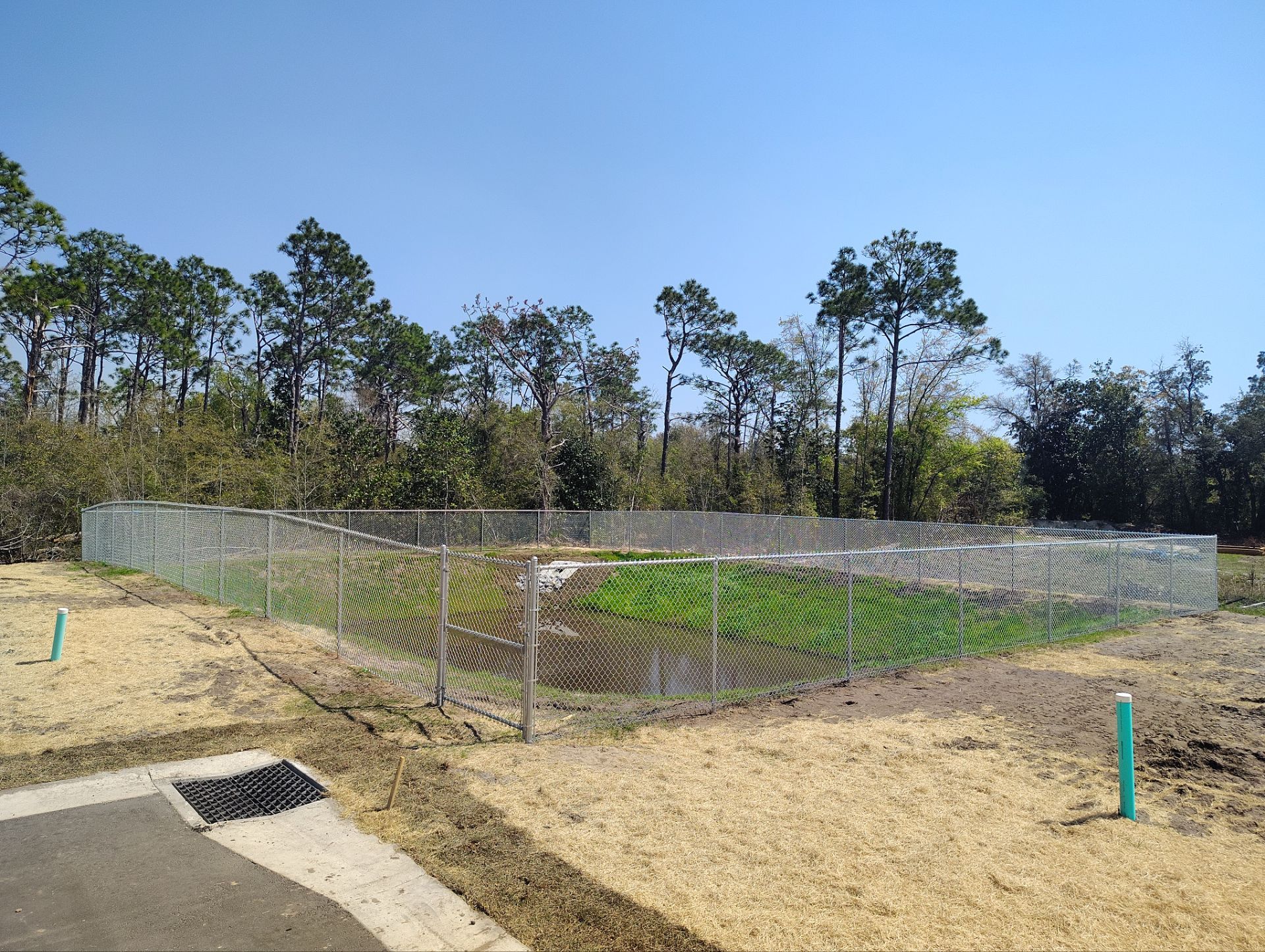 Walsh Development
